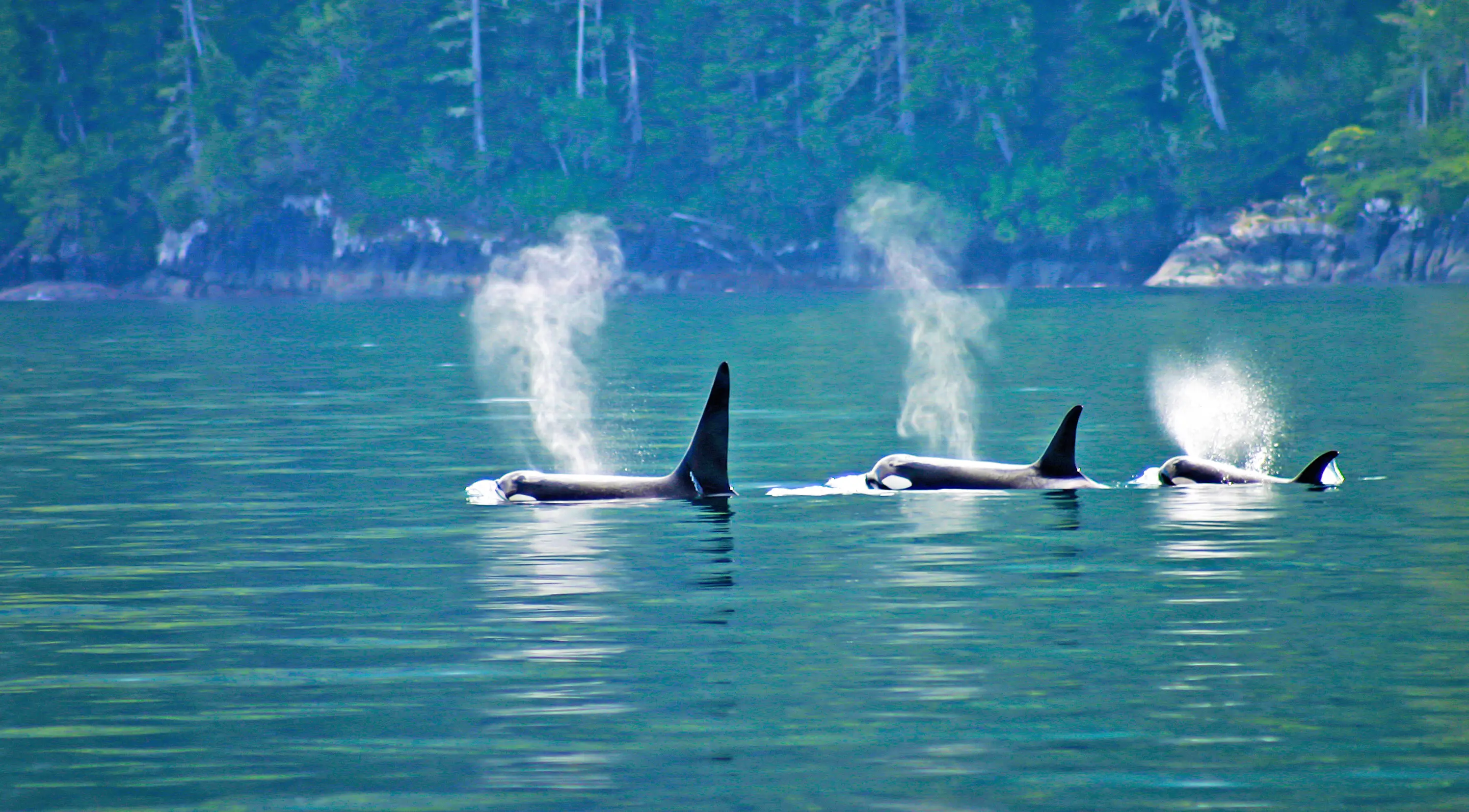 climate an business solutions