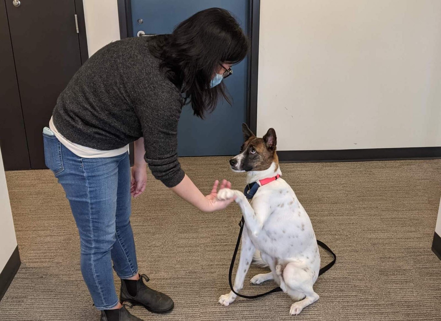 bring your dog to work day