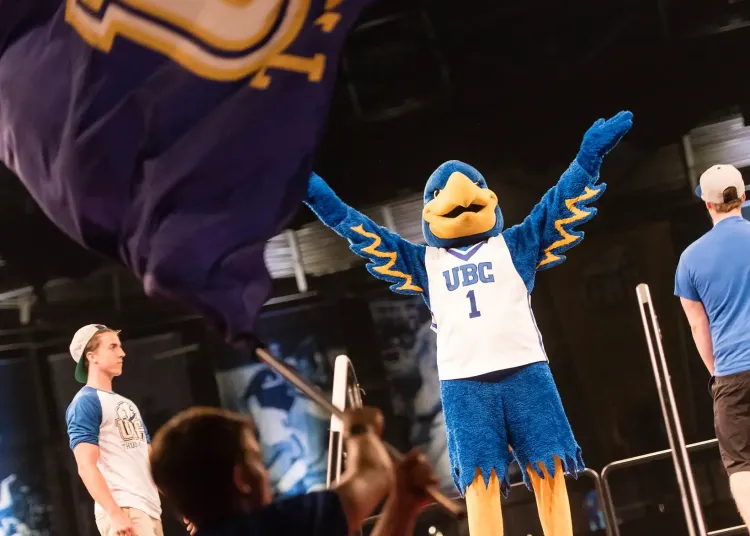 Bird mascot