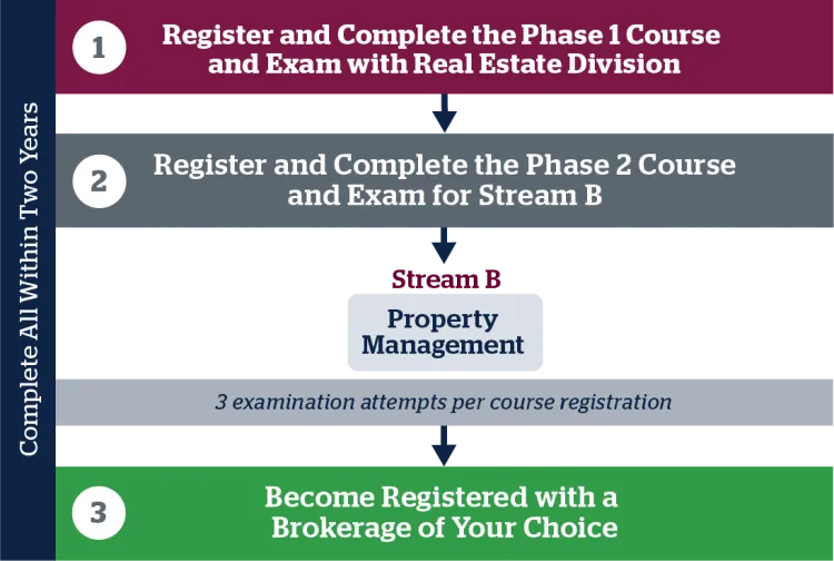 srec phase 2 journey map