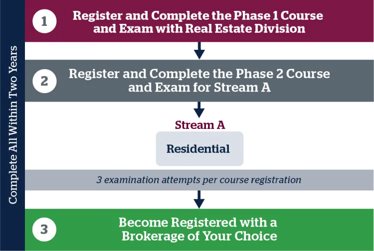 srec Phase 2 journey map