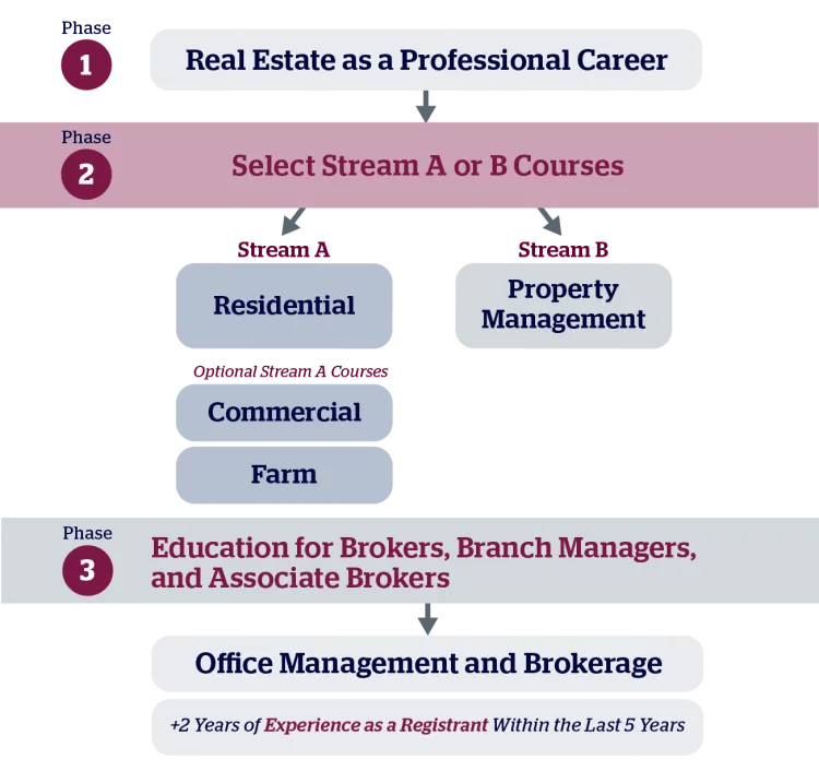 srec-phase-progression map