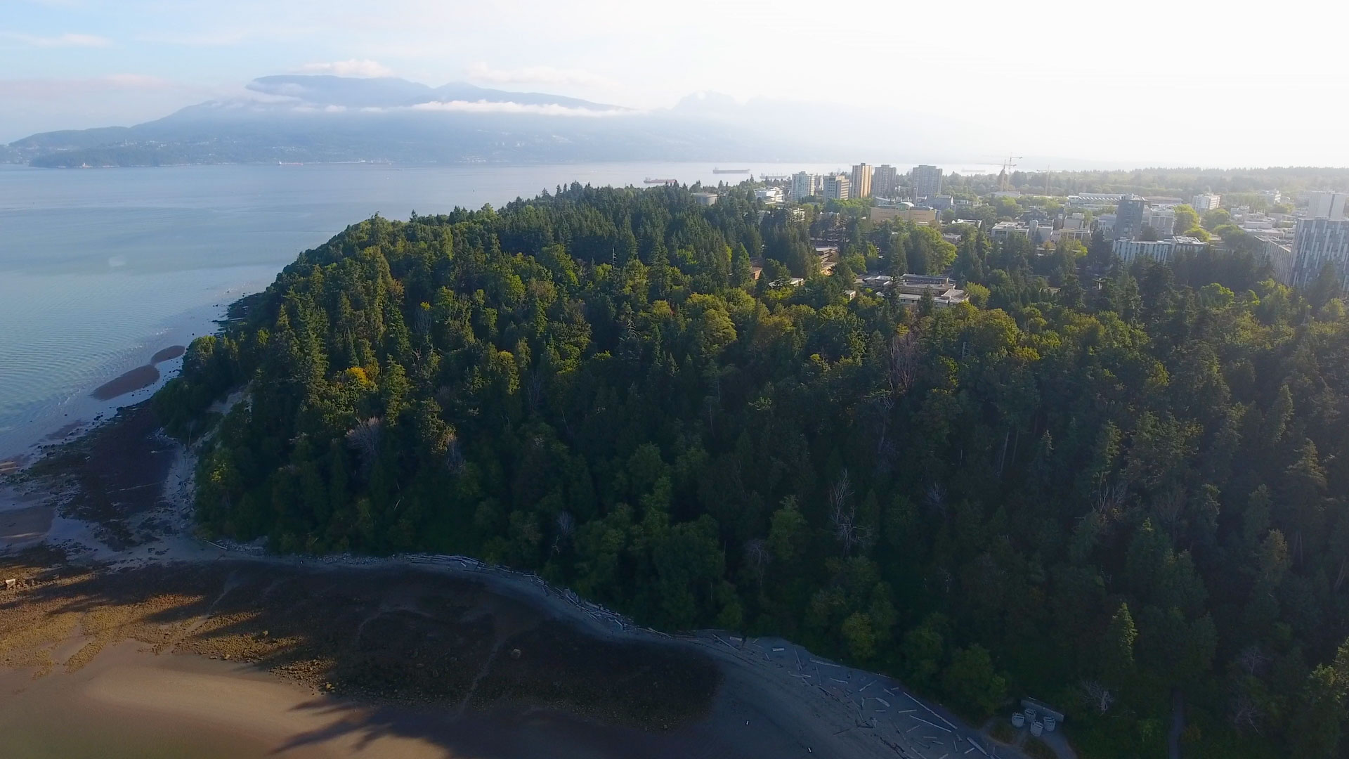 Video thumbnail for UBC Sauder Indigenous Initiative